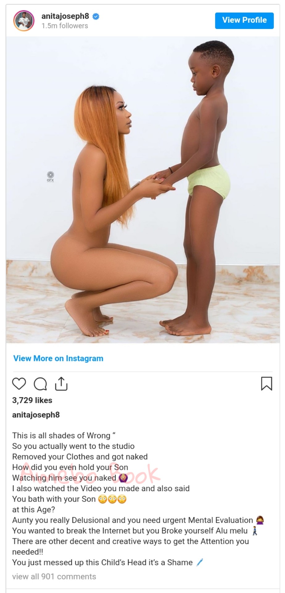 Anita Joseph Blasts Akuapem Poloo Over Nude Photoshoot With Son (2)
